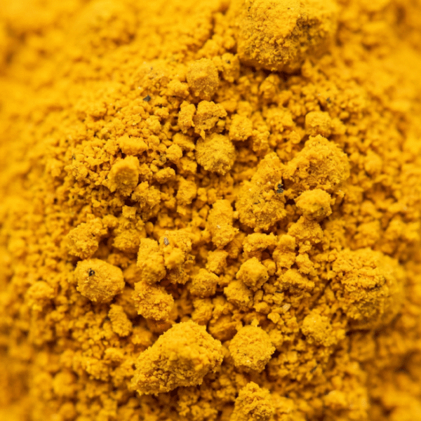 savora turmeric powder